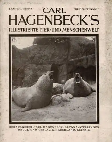 Carl Hagenbeck´s illustrierte Tier- und Menschenwelt, 3. Jahrgang, Heft 7 (Januar, S. 125-145). 