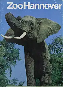 Zooführer (Afrikanischer Elefant). 