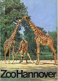 Zooführer (Giraffen, Bahlsen Werbung hinten). 