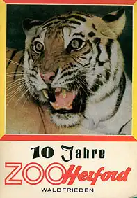 10 Jahre Zoo Herford Waldfrieden (Tiger). 