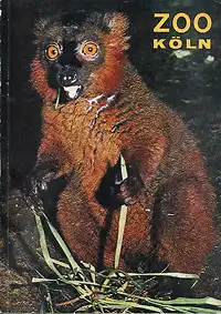 Zooführer (Rotbauchmaki) mit Faltplan. 