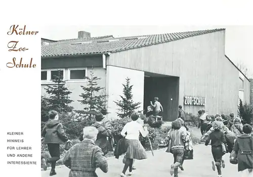 Faltblatt Kölner Zooschule. 