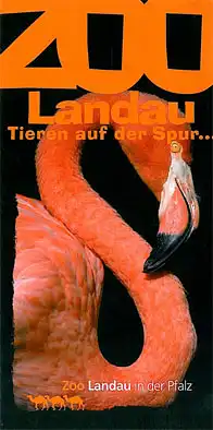 Faltblatt "Tieren auf der Spur…" (Flamingo). 