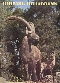 Zooführer (Alpensteinbock). 
