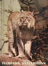 Zooführer (Luchs). 