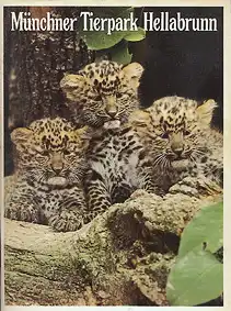 Zooführer (3 junge Leoparden). 