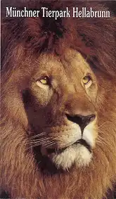 Zooführer (Löwe). 