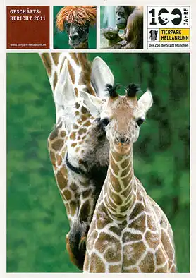 Geschäftsbericht 2011. 