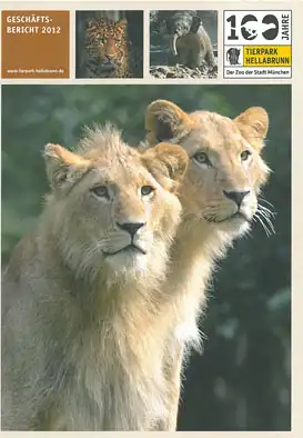 Geschäftsbericht 2012. 