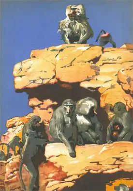 Das Tier und wir (Paviane) Juni 1934. 