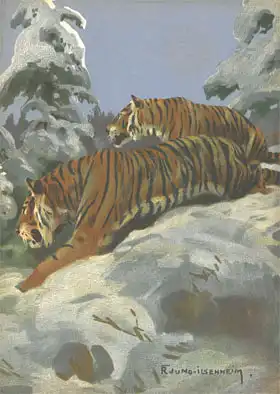 Das Tier und wir (Tiger) November 1936. 