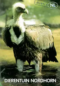 Zooführer (Gänsegeier), 2. Auflage, niederländische Ausgabe!. 