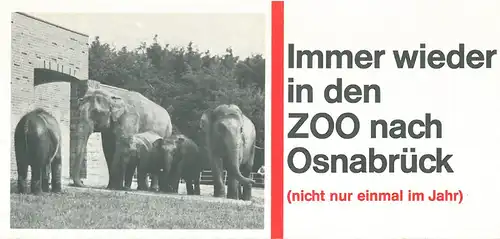 Werbebroschüre "Immer wieder in den Zoo nach Osnabrück". 