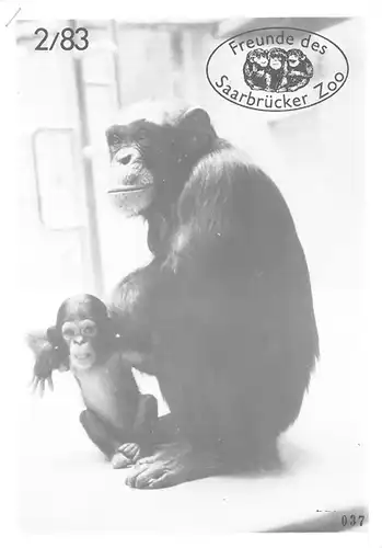 Zeitung der Freunde des Zoos, Ausg. 2, 1983. 