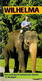 Zooführer (Pfleger auf Elefant). 