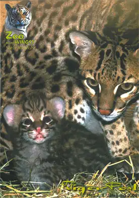 Tiger-Post, H. 2, 8. Jg 2008. 