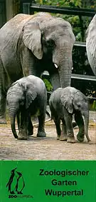 Faltblatt (Elefanten). 