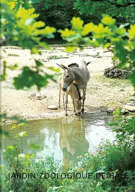 Zoof?hrer (Somali Wildesel). 