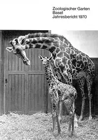 98. Jahresbericht 1970. 