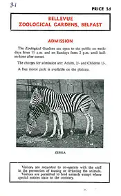 Bellevue Zoological Gardens, Faltblatt (2 Zebras). 