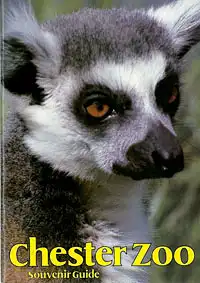 Souvenir Guide (Ring-tailed lemur). 