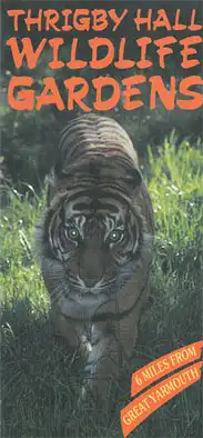 Infoflyer (Tiger). 