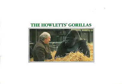 Howletts? Gorillas. 