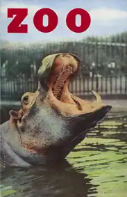 Zoo Guide (Flusspferd). 