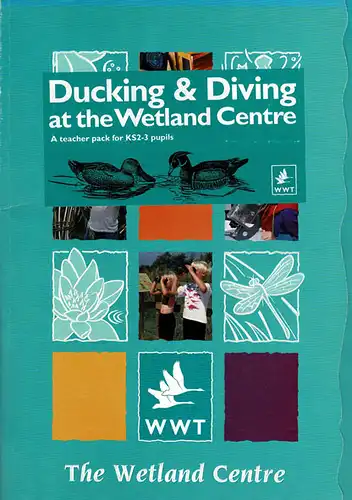 Ducking and Diving (Teacher pack). 