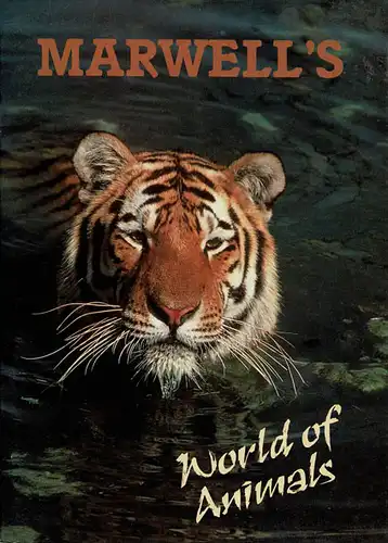 Marwell's World of Animals (Tiger). Konica-Anzeige auf Rückseite. 