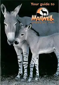 Guide To Marwell (Somalische Wildesel). 