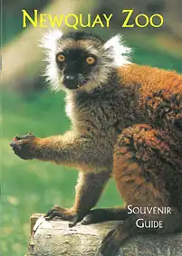 Souvenir Guide (Black Lemur). 