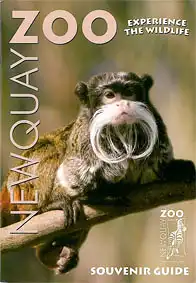 Souvenir Guide (Emperor tamarin). 