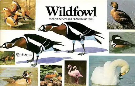 The World of Wildfowl incl. Guides (revised edition 1975). 