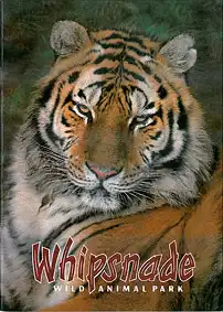 Zoo Guide (Tiger). 