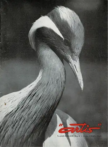 "artis" 7e Jaargang, No 5, Jan. - Febr. 1962. 