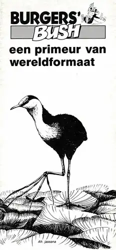 Kurzinformation (Bush, Ralle). 