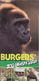 Kurzinformation mit Lageplan (Zoo Bush Safari) (Gorilla). 