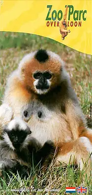 Faltblatt (Gibbon). 