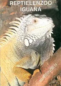 Reptielenzoo Iguana (Grüner Leguan). 