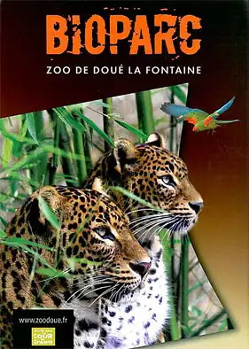 Kurzinformation "Bioparc" (Leoparden). 