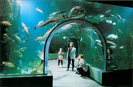 Wegweiser (Unterwassertunnel). 