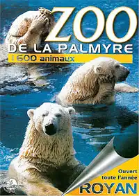 Informationsbroschüre (drei Eisbären). 