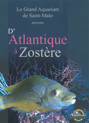 D' Atlantique à Zostère. 