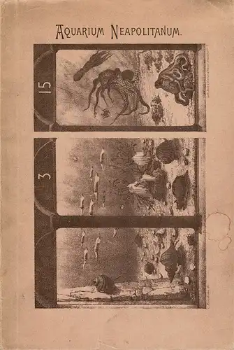 Führer, 6. Auflage. 