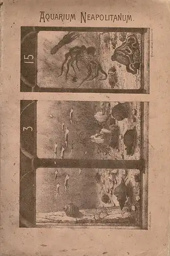 Führer, 7. Auflage. 