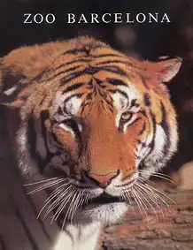 Zooführer (Tiger, ganz hinten Tierindex). 