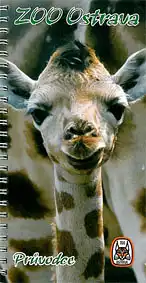 Zooführer (Giraffenkopf, junge Giraffe). 