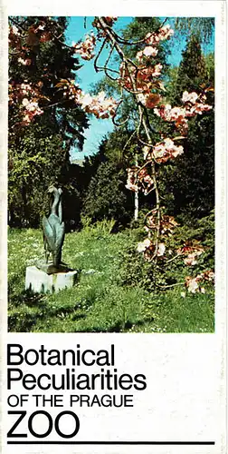 Botanical Peculiarities of the Prague Zoo (Skultpur eines Wasservogels, ins Bild hängender Zweig mit apricot farbenen Blüten). 