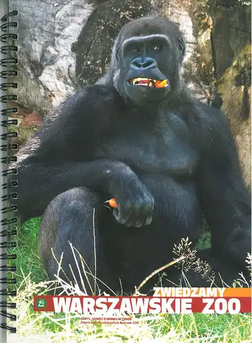 Zooführer: Zwiedzamy Warszawskie Zoo (Gorilla). 